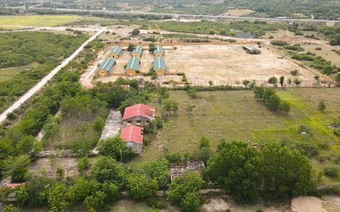 Trạm nhân giống dê cừu rộng 50ha, chỉ nuôi 500 con cừu