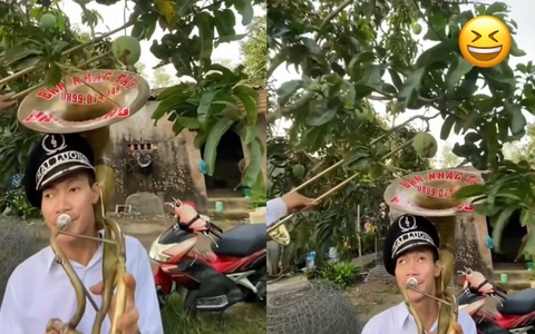 Cười sảng với hai thanh niên dùng kèn tây hái trộm xoài