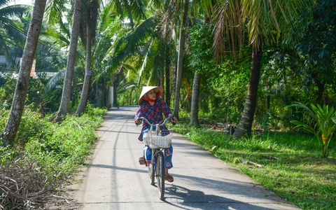 Tấm huân chương của nội