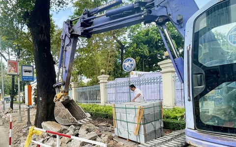Tự ý chặt cây xanh đô thị, cá nhân và tổ chức bị phạt ra sao?