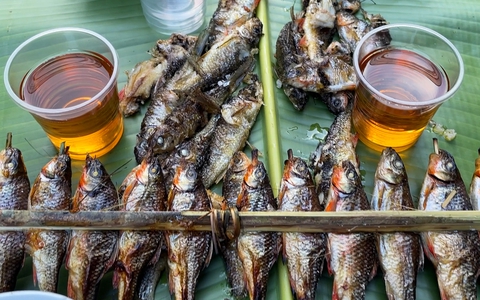 Về đại ngàn Trường Sơn ăn con cá mát