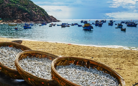 Chuyến giang hồ yến ẩm xứ Nẫu