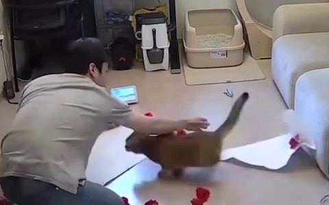 Thanh niên chán chẳng buồn nói với mèo cưng phá phách
