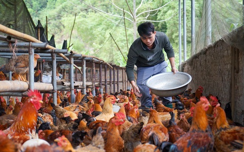 Nông dân Thanh Hóa được trao vốn ‘Tiếp sức nhà nông'