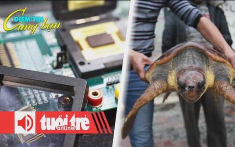 Điểm tin 8h: Mỹ - Trung giằng co về chip bán dẫn; Người dân ở Dải Gaza phải ăn rùa biển để sống