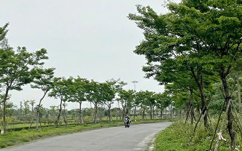 Quảng Bình đã khởi tố 22 bị can liên quan đến Công ty cây xanh Công Minh