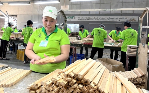 Việt Nam không chỉ là công xưởng sản xuất