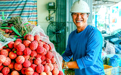 Vải thiều Bắc Giang có tỉ lệ đậu quả 'khủng', sản lượng ước trên 165.000 tấn