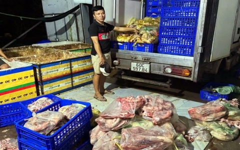 Ba người thu gom heo bệnh, heo thối làm giò chả cung ứng suất ăn công nghiệp, cơ sở ăn uống