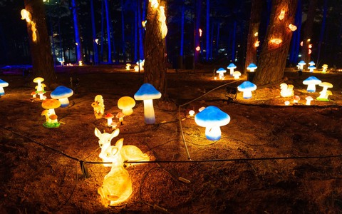 Danh thắng hồ Than Thở trở thành công viên ánh sáng Delight Park