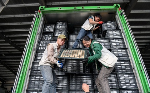 Lạng Sơn bác tin ùn tắc nông sản xuất khẩu tại cửa khẩu