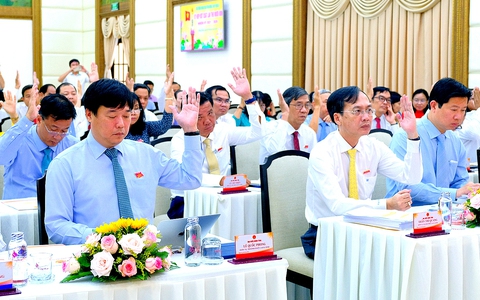 Đồng Tháp thông qua nghị quyết thành lập 45 xã, phường là những xã, phường nào?