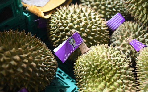Trung Quốc tăng thời gian kiểm tra sầu riêng Thái Lan do sợ bị nhiễm thuốc