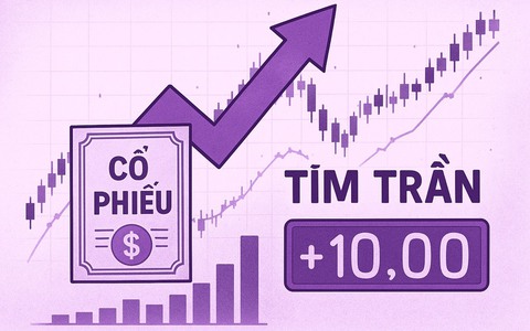 Điểm tên loạt cổ phiếu tăng 'tím trần' tại phiên chứng khoán Việt giảm mạnh nhất châu Á