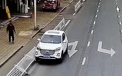 Để thú cưng trong xe hơi đang nổ máy, chủ xe suýt gây họa cho người đi đường