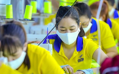 Đi làm không hợp đồng: Tìm hiểu để tự bảo vệ chính mình