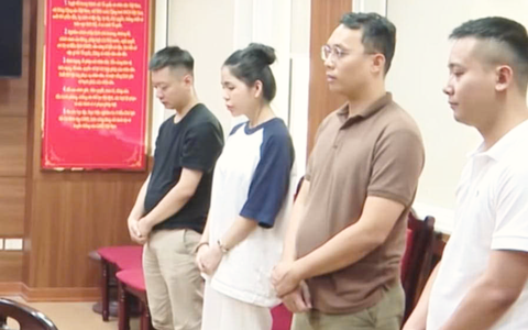 Pháp luật quy định ra sao đối với hành vi sai phạm của Quang Linh Vlogs, Hằng Du Mục?