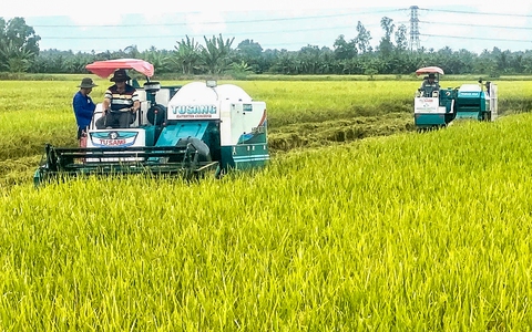 Nhà khoa học cuối cùng trong nhóm lai tạo lúa thơm ST25 nghỉ hưu trước tuổi