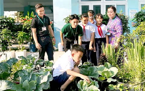 Niềm vui từ những ngôi trường mới