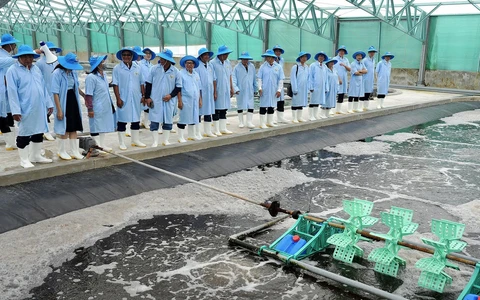 Thu hút người tài ngành nông nghiệp và môi trường: đãi ngộ gắn với cổ phần, doanh thu dự án?
