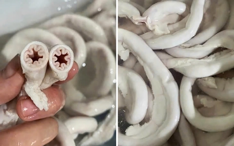Bé 10 tháng tuổi tử vong, trong máu có nồng độ cồn; lòng se điếu hiếm nhưng bán đầy thị trường