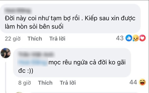 Ảnh vui 14-5: Khi 'chán đời' muốn được làm hòn sỏi bên suối...