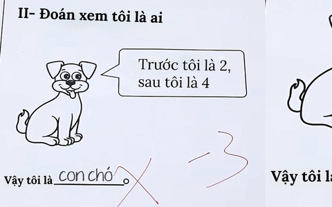 Ảnh vui 18-5: 'Trước tôi là 2, sau tôi là 4, đoán xem tôi là ai?'