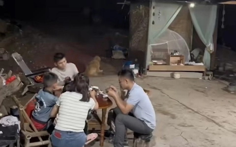 Cả nhà hú hồn khi thấy hành động lạ của chó cưng