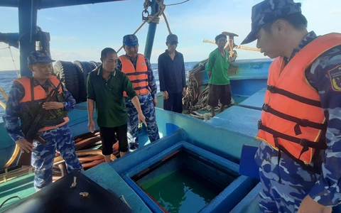 Vùng Cảnh sát biển 4 bắt 60.000 lít dầu DO lậu trên biển Tây Nam