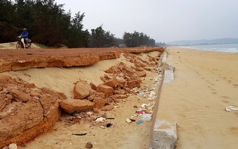 Bình Định chấm dứt dự án kè chống xói lở gần 80 tỉ đồng