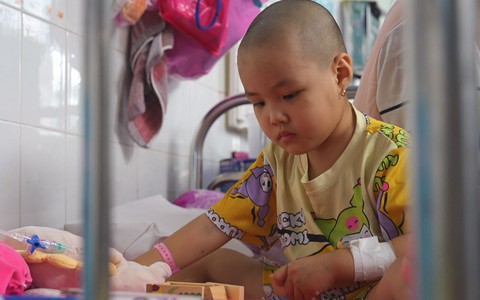 "Tiếp sức hoa mặt trời": Thắp sáng ước mơ nhỏ trong hành trình chống ung thư