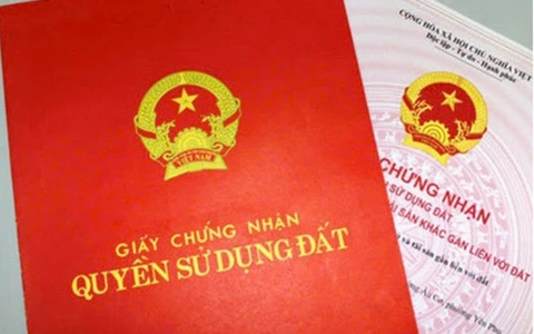 Sở Nông nghiệp và Môi trường TP.HCM: 'Không có nhũng nhiễu, lạm quyền khi cấp sổ đỏ như phản ánh'