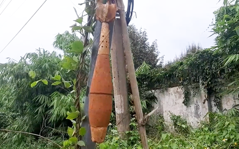 Đi thăm rẫy, người dân tá hỏa phát hiện quả đạn cối còn ngòi nổ treo trên cột điện