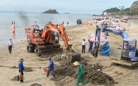 Vài chục tấn lục bình tấp vào bãi tắm ở Vũng Tàu mỗi ngày, rác từ đâu ra?