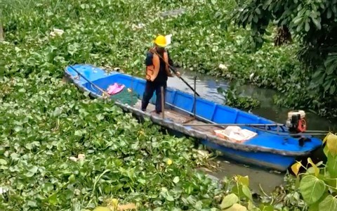 Mỗi ngày vớt gần 9 tấn lục bình để làm sạch kênh Nhiêu Lộc - Thị Nghè