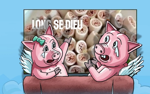 Hai chú heo tâm sự thẳng thắn về lòng se điếu