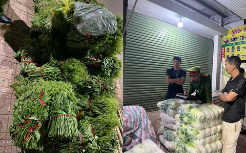 Thu giữ hơn 3 tạ rau quả nhiễm hóa chất độc hại