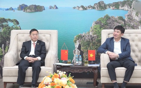 TKV hợp tác với Công ty Công trình quốc tế Điện lực Trung Quốc