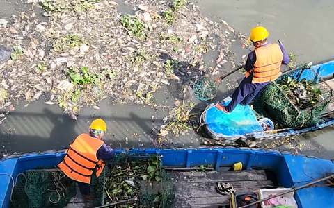 Công nhân môi trường tất bật thu gom cá chết nổi trắng trên kênh Nhiêu Lộc - Thị Nghè