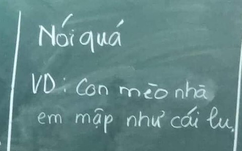 Ảnh vui 11-6: Dùng biện pháp nói quá để tả con mèo
