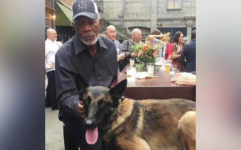 Thông tin diễn viên Morgan Freeman chi 11 triệu USD cứu chó hoang là bịa đặt