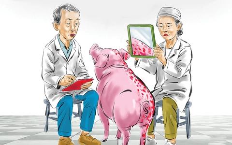 Triết lý mới của ngành kiểm dịch thú y: Hai mặt của một vấn đề