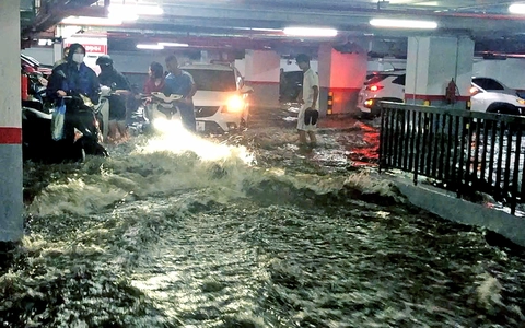 Sau trận mưa lớn, xe cộ 'bơi' trong một hầm chung cư ở Hạ Long