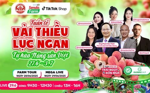 Vải thiều đã chín đỏ trên siêu thị online Sendo Farm