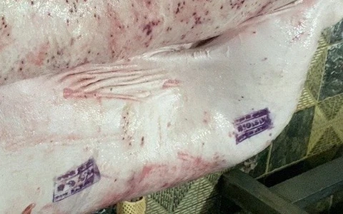 Heo bệnh mà lại đóng dấu 'được đưa ra thị trường' là sai