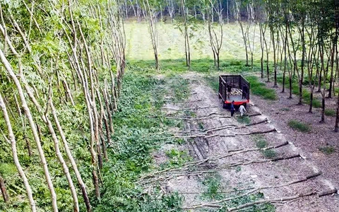 Rủi ro trong đấu thầu: Cẩn trọng để không trượt thầu oan