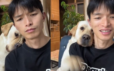 Chú chó giận dỗi vì cậu chủ quát nạt