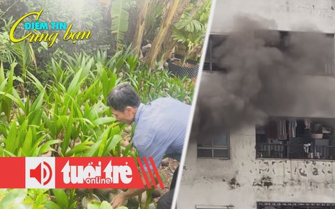 Điểm tin 18h: Giá dừa tăng cao kỷ lục; 2 vụ cháy chung cư liên tiếp ở Hà Nội