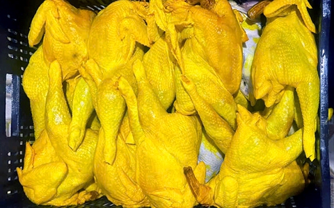 Đồng Nai: Kiểm tra cơ sở gà ủ muối, phát hiện 1,2 tấn gà không rõ nguồn gốc