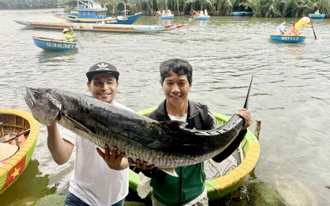 Nghề 'câu chơi, trúng thật' ở Đà Nẵng